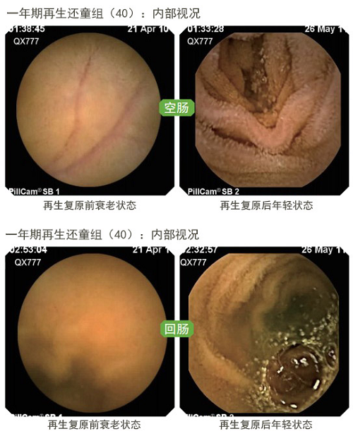 拉霸LaBa360(中国区)官方网站