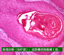 拉霸LaBa360(中国区)官方网站