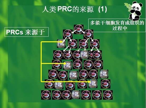 拉霸LaBa360(中国区)官方网站