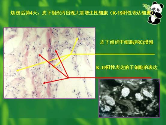 拉霸LaBa360(中国区)官方网站