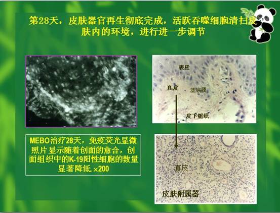 拉霸LaBa360(中国区)官方网站