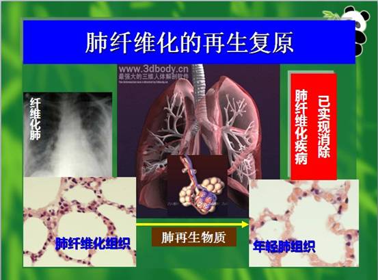 拉霸LaBa360(中国区)官方网站