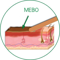 拉霸LaBa360(中国区)官方网站
