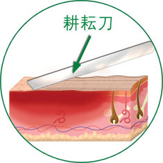 拉霸LaBa360(中国区)官方网站