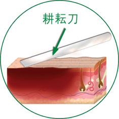 拉霸LaBa360(中国区)官方网站