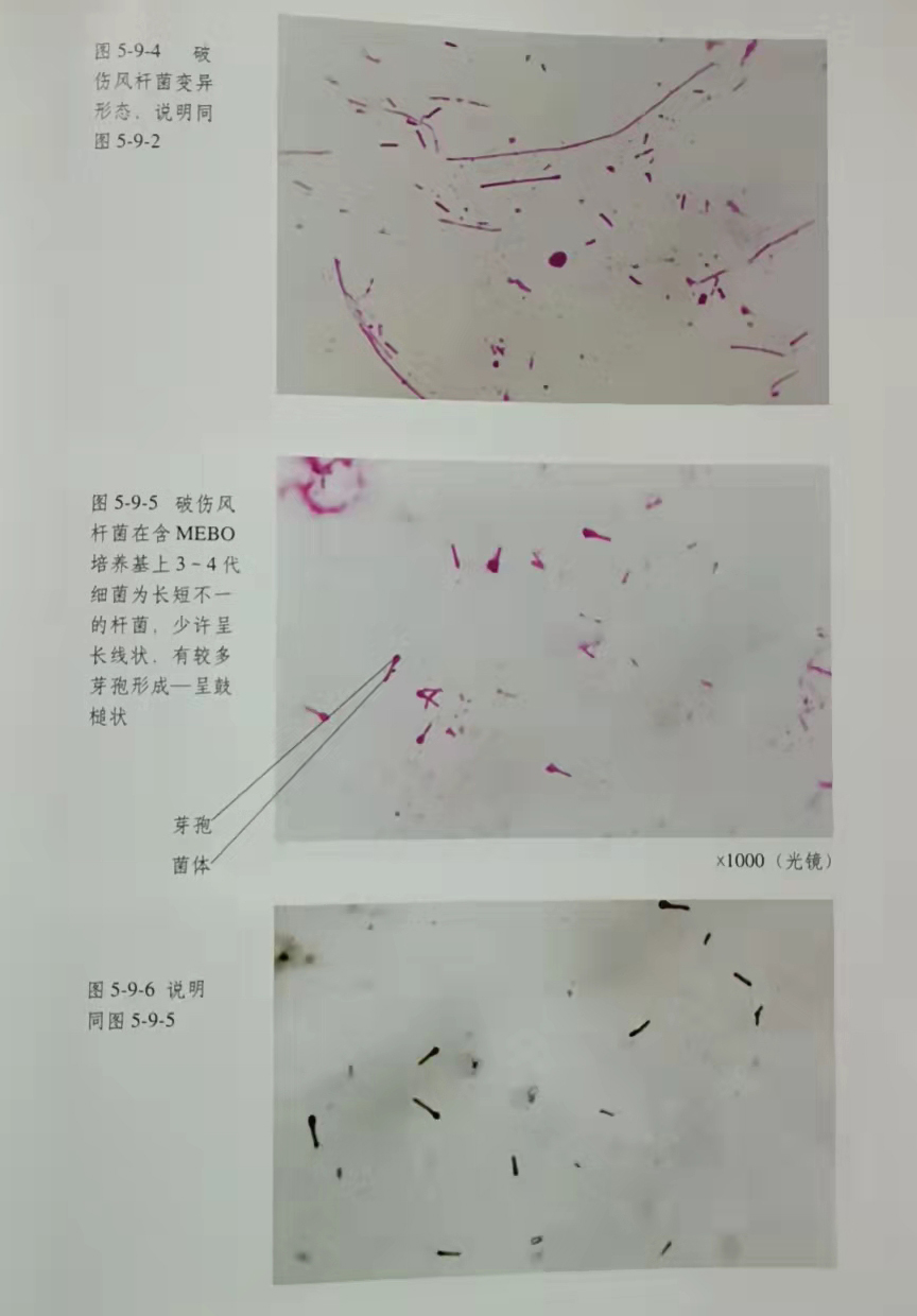 拉霸LaBa360(中国区)官方网站