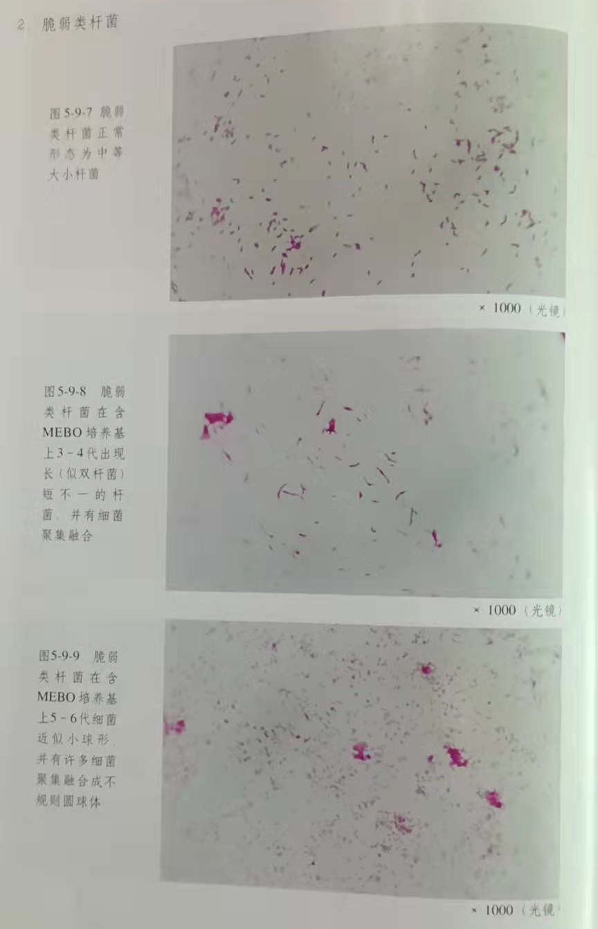 拉霸LaBa360(中国区)官方网站