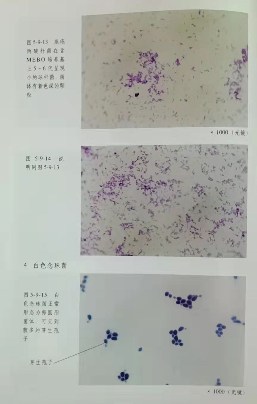拉霸LaBa360(中国区)官方网站