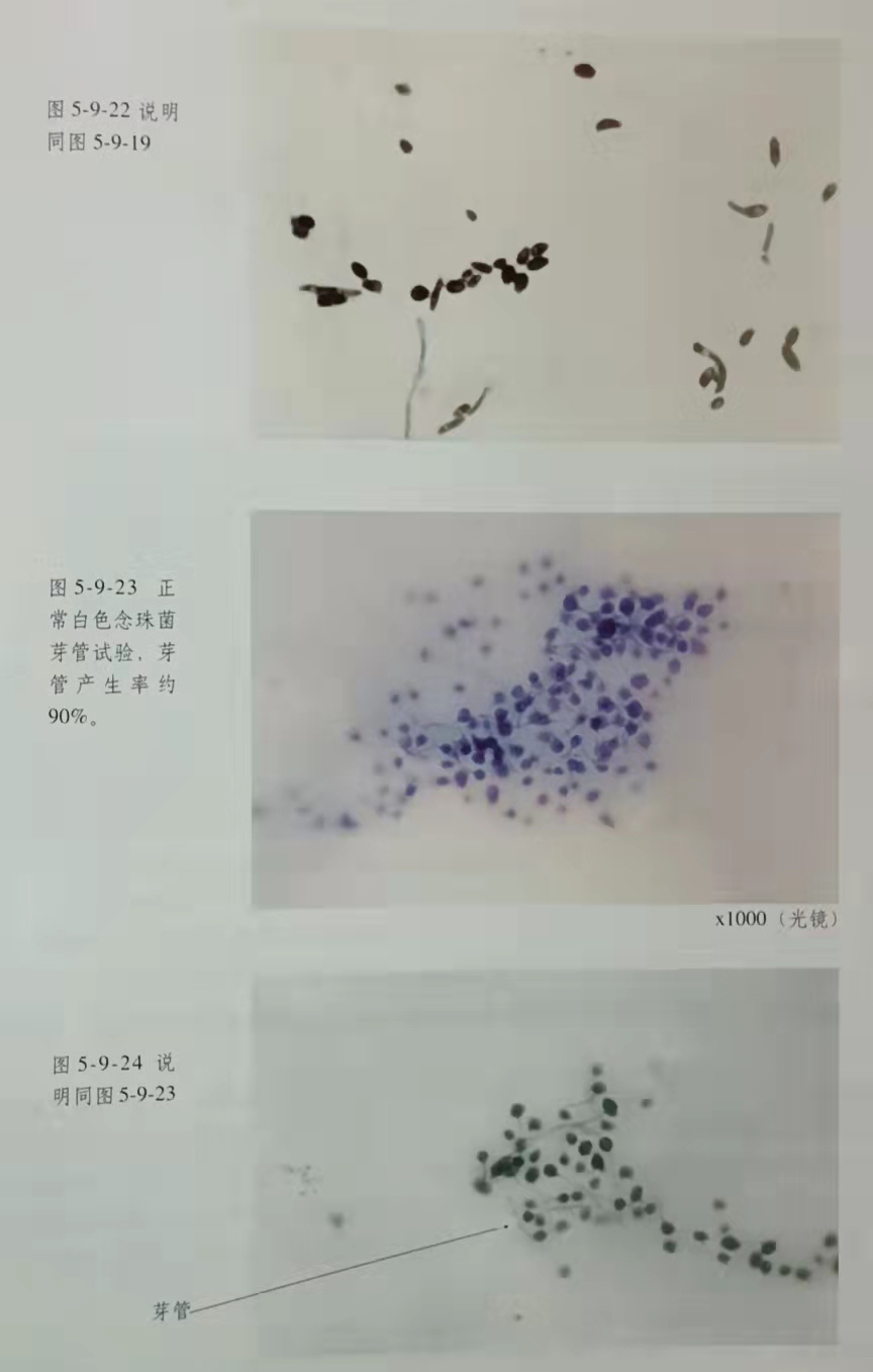 拉霸LaBa360(中国区)官方网站