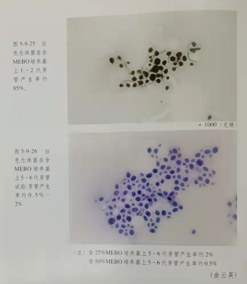 拉霸LaBa360(中国区)官方网站