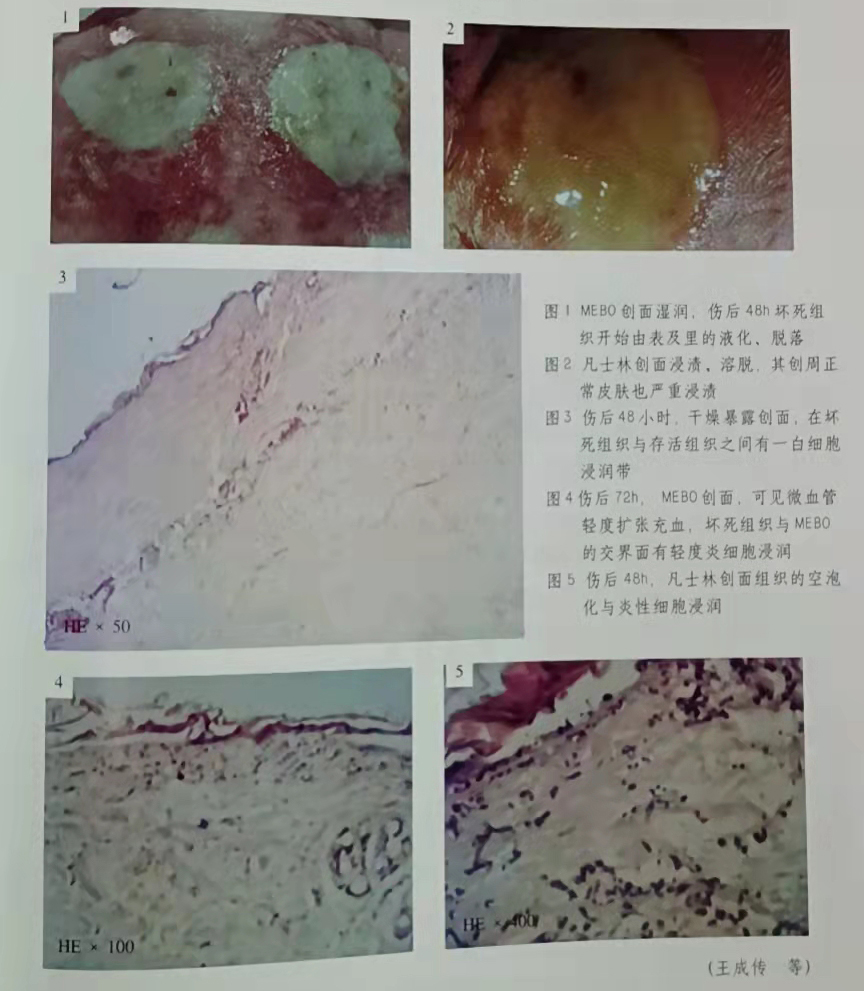 拉霸LaBa360(中国区)官方网站