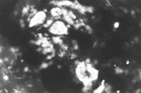 2011218155718852